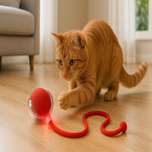 Carregar imagem no visualizador da galeria, Bola Inteligente para Pets – Brinquedo Interativo Automático Recarregável