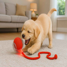 Carregar imagem no visualizador da galeria, Bola Inteligente para Pets – Brinquedo Interativo Automático Recarregável