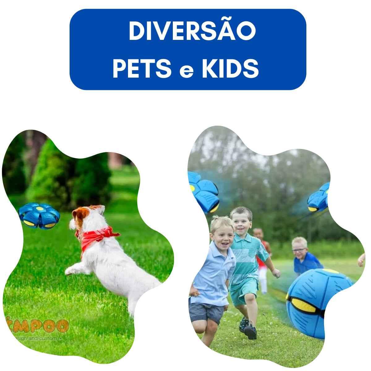 Bola Mágica brilhando no escuro com suas luzes de LED.