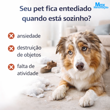 Carregar imagem no visualizador da galeria, Bola Inteligente para Pets – Brinquedo Interativo Automático Recarregável
