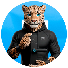 icon-category